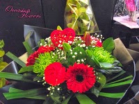Occasion Flowers 1069539 Image 9